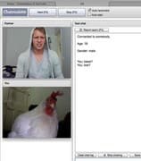 La webcam du refuge animalier